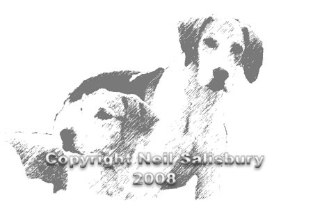 Pair of Hounds